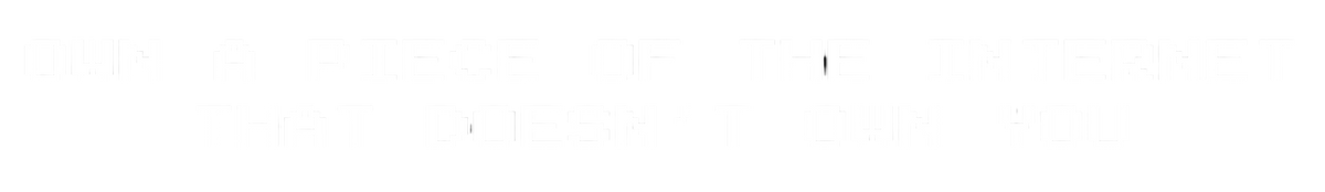 The Daily Scroll